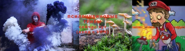 дурь Белокуриха