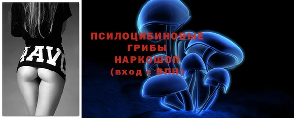 тгк Тайга