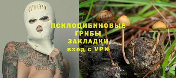 прущие крисы Беломорск