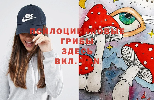 дурь Белокуриха