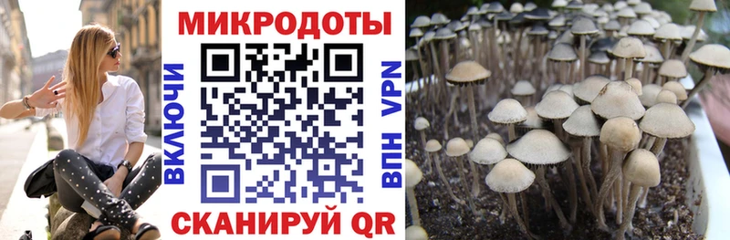 Псилоцибиновые грибы Psilocybine cubensis  Воскресенск 